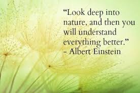 Image result for earth day quotes