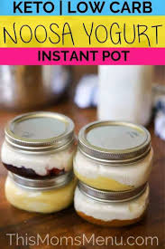 LOW CARB YOGURT! This low carb twist on the Australian style ...
