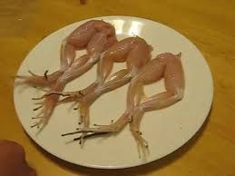 Dancing frog legs. Gross foods that will make you puke. | Food ... via Relatably.com
