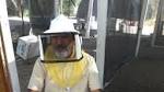 ASU honey bee lab works to save the vital insects