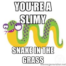 you&#39;re a Slimy Snake in the grass - obnoxious snake | Meme Generator via Relatably.com