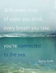 Her Deepness ~ Dr. Sylvia Earle on Pinterest | Shark Fin ... via Relatably.com