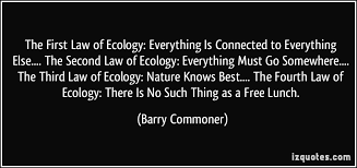 The First Law of Ecology: Everything Is Connected to Everything ... via Relatably.com