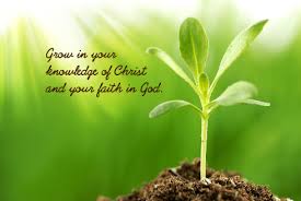 Image result for growing in faith