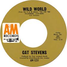 Image result for Cat Stevens Wild World