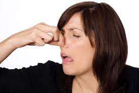 Image result for images nose smell