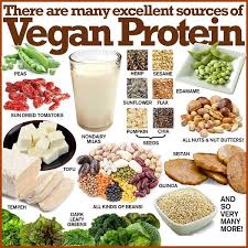 Image result for protein foods