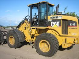 Image result for caterpillar