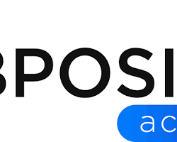 Imagen de Logotipo de Webpositer