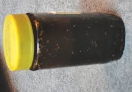 المفتقة بالعسل الاسود او الحلاوة السوداء  او المحوجة بالعسل الاسود