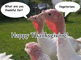 funny thanksgiving pictures | Tumblr via Relatably.com