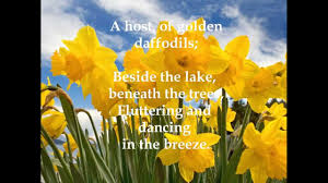 Image result for images of Daffodils