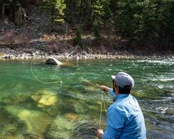 Gambar Gallatin River fly fishing, Montana