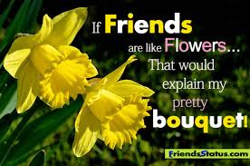 Friends are like flowers quotes about friends via Relatably.com