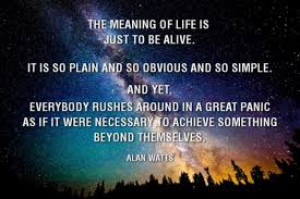 Quotes About The Meaning Of Life Quotes About Life Tumblr Lessons ... via Relatably.com