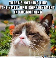Good Morning Grumpy Cat by nogoodnameleftforme - Meme Center via Relatably.com