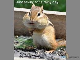 Funny Rainy Day | Funny Rainy Day | Weather memes and activities ... via Relatably.com