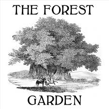 The Forest Garden