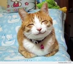 Smiling Cat by ben - Meme Center via Relatably.com