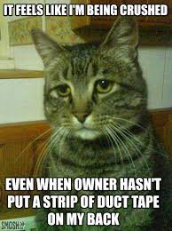 Best of the &#39;Depressed Cat&#39; Meme! / SMOSH on imgfave via Relatably.com