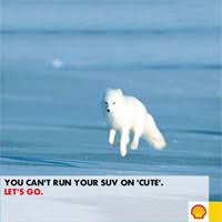 Let&#39;s Go! Arctic&quot; Hoax Campaign | Know Your Meme via Relatably.com
