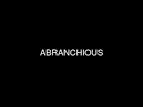abranchious