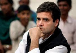 Image result for rahul harried