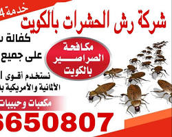 شركة مكافحة حشرات بالكويت