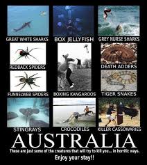 Eff Australia on Pinterest | Meanwhile In Australia, Australia and ... via Relatably.com