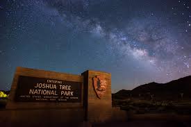 Stargazing - Joshua Tree National Park (U.S. National Park Service)