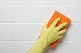tub cleaner ile ilgili görsel sonucu