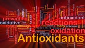 Image result for antioksidan
