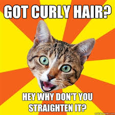 Got Curly Hair? Cat Meme - Cat Planet | Cat Planet via Relatably.com