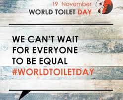 Image result for World Toilet Day, November 19