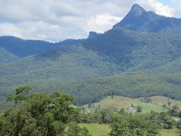 Image result for pictures of Tyalgum Village