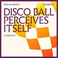 Disco Ball Perceives Itself