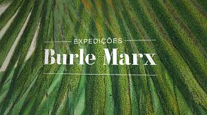 Resultado de imagem para Burle Marx fotos