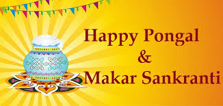 Happy Pongal க்கான பட முடிவு
