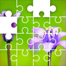 Daily Jigsaw Puzzle 2021-05-17 Scilla Hughii - JigZone.com