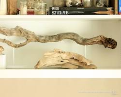 Image of Driftwood display