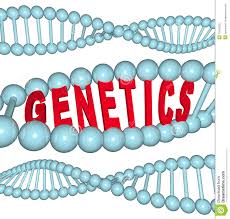 Image result for genetics