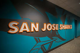 Image result for san jose sharks