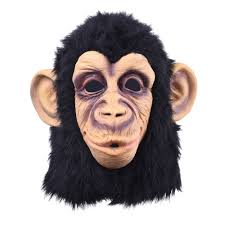 Kết quả hình ảnh cho khỉ mặt người
