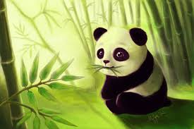 Résultat de recherche d'images pour 'panda apofiss'