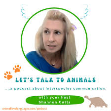 Let's Talk to Animals