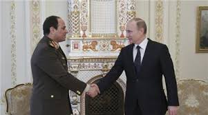 Image result for Egyptian nuclear plant