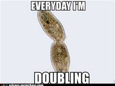 Science Memes on Pinterest | Biology Memes, Biology Humor and ... via Relatably.com