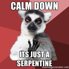 calm down its just a serpentine - Chill Out Lemur | Meme Generator via Relatably.com