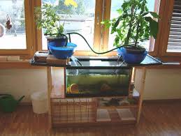 Aquaponics Systems for Hobby or Business