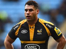 Image result for wasps rugby photos